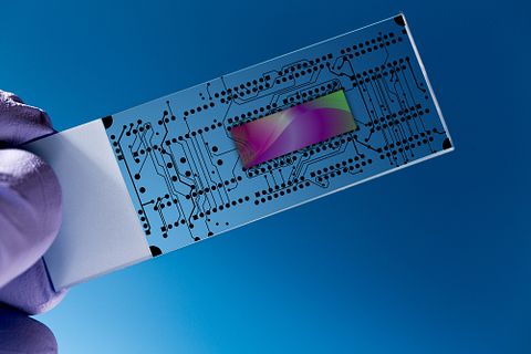 chip, slide, cells, lab, chemistry, test, human, a, technician, molecular, micropillar, lymphocyte, technological, nanopillar, on, breakthrough, lab-on-a-chip, sample,engineering, laboratory, 7 Best Nanotechnology Engineering Schools in the World