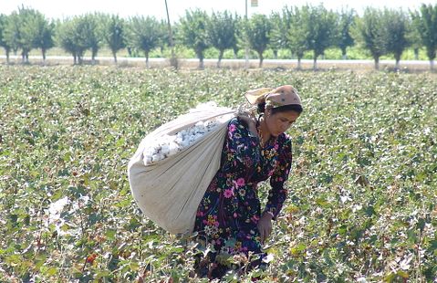 Top 10 Countries With the Least Debt in the World