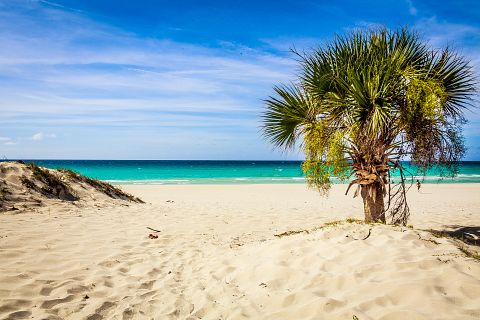 Caribbean