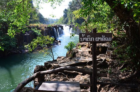 CHAIYA/Shutterstock.com