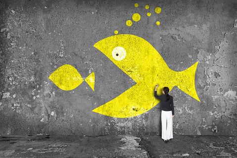 Best, Cheapest Animal to Raise for Meat and Self Sufficiency