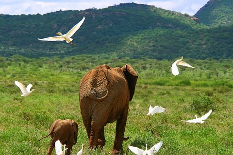 7 Highest Paying Countries for Zoology Jobs