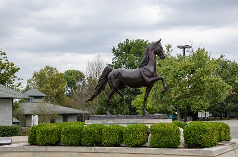 25 Best States to Retire in for Taxes and Cost of Living