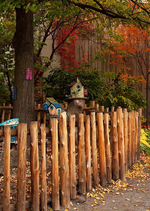 11 Best Places To Visit in USA with Toddlers