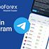 RoboForex Launches Full-Scale Trading in Telegram