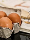 Top 20 Countries with Highest Egg Consumption