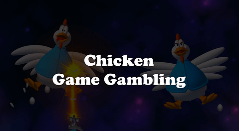 Chicken Game Gambling