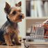 Here’s What Analysts Say About Petco Health and Wellness (WOOF)