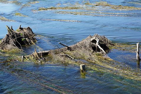 10 Countries that Will Be Underwater Due to Global Warming 