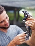 7 Highest Paying Countries for Zoology Jobs