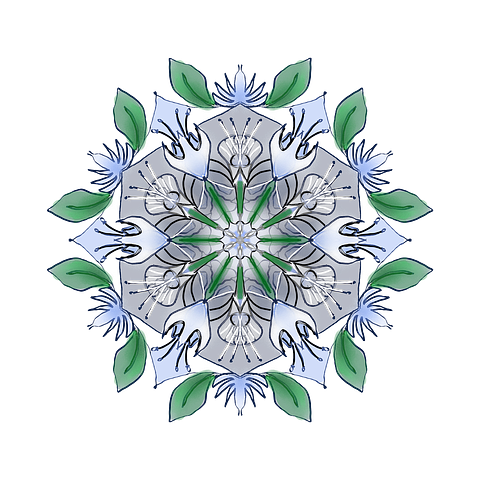 Best Classes Under $50 in Brooklyn 