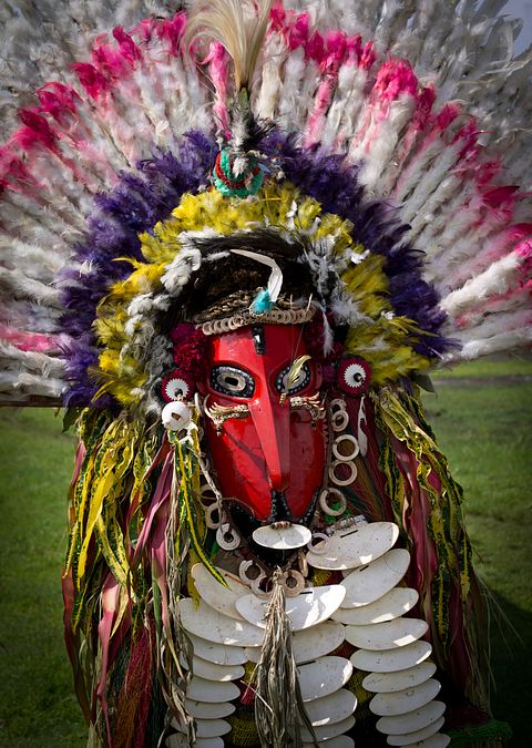 Janelle Lugge/Shutterstock.com 