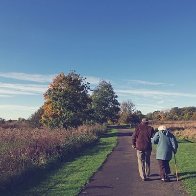 Dividend Stock Portfolio For Retirement: Top 12 Stock Picks