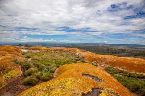 Lynn Y/Shutterstock.com 