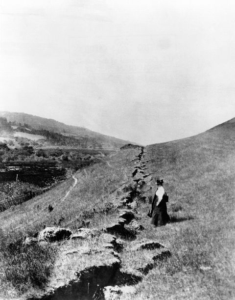 Everett Historical/Shutterstock.com 