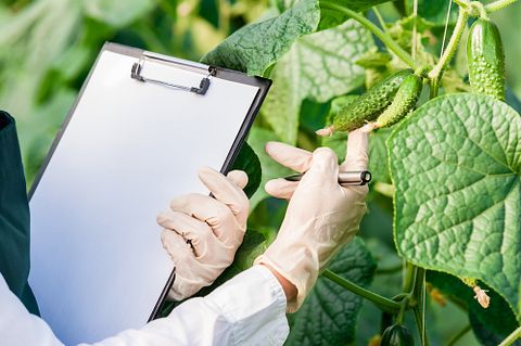 25 Best States For Agricultural Inspectors