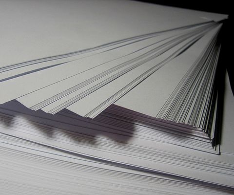 8 Countries That Produce the Most Paper in the World