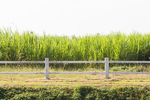 5 Easiest Fences To Install Yourself 