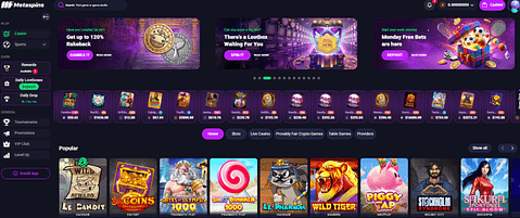 Metaspins page