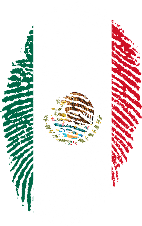 Top 10 Countries With The Highest Immigration to US