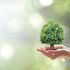 11 Best Sustainability Stocks to Invest In