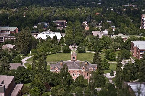 Linda Roberts/Shutterstock.com