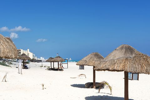 ppart/Shutterstock.com