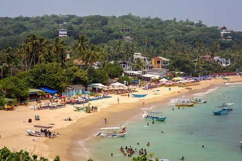 Filipp Filipovich/Shutterstock.com 