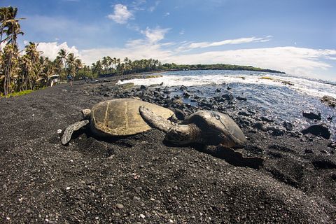 Pavel Tvrdy/Shutterstock.com