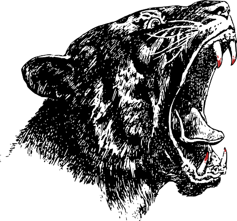 20 Most Popular High School Mascots