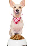 6 Most Expensive Dog Food Brands