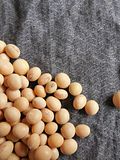 8 Countries that Produce The Most Soy Beans in The World