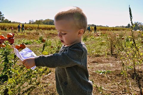 child-375065_1280