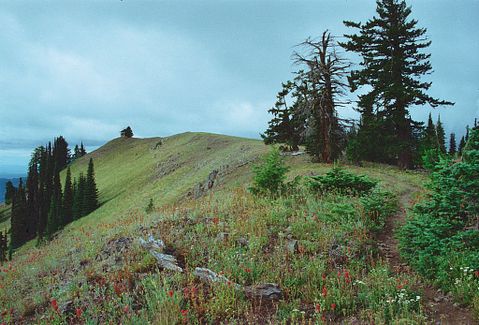 11 Best Places to Retire in Oregon