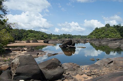 Arjen de Ruiter/Shutterstock.com 