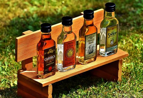 easiest jello shot recipes with rum, gin, vodka, and tequila