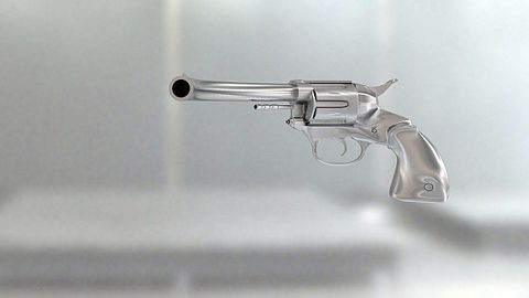 colt-629669_1280