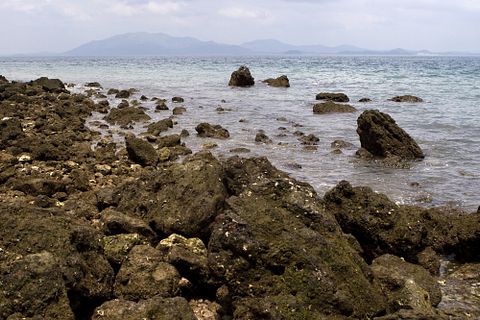 Tomasz Pado/Shutterstock.com 