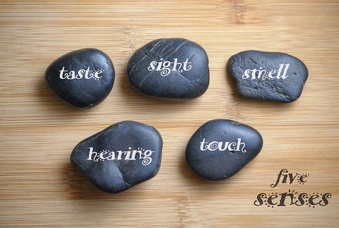 rocks, five senses