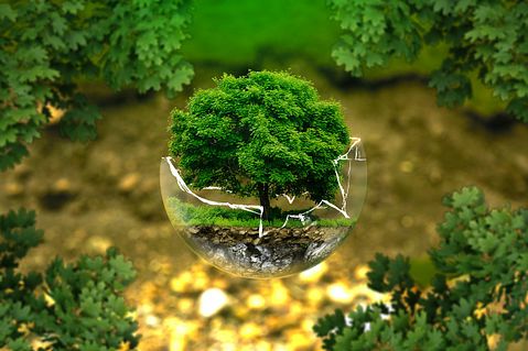 25 Best States for Environmental Engineers