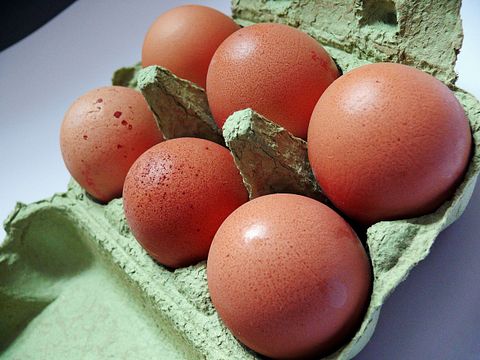 10 Largest Egg Producing Countries In The World