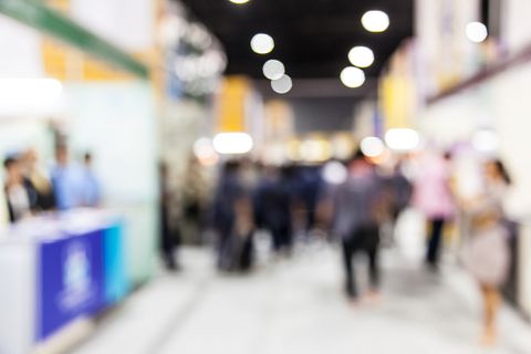 Wittaya Budda/Shutterstock.com