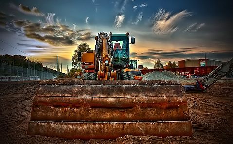 cat-51663_640