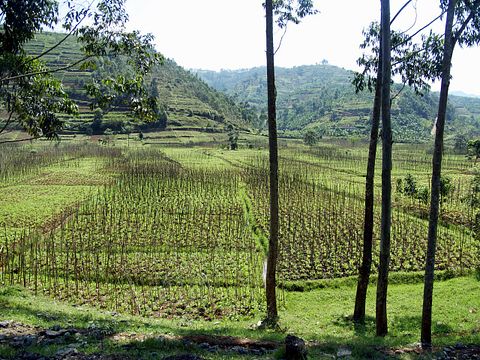 10 Countries Where Muslim Population Will Increase The Most By 2050