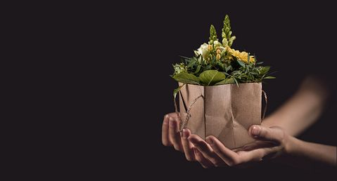 Countries that Export the Most Cut Flowers in the World