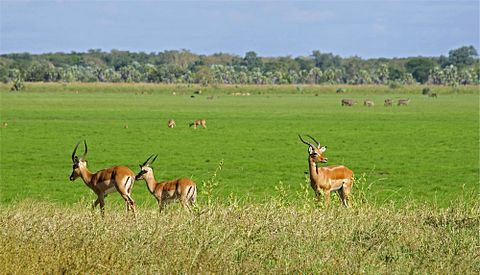  Best Places To See In  Mozambique Before You Die
