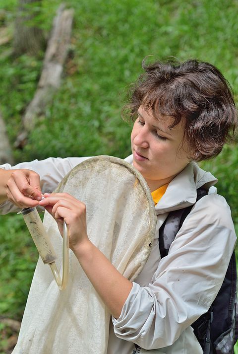 7 Highest Paying Countries for Zoology Jobs