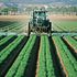 Five Agrochemical Stocks Hedge Funds Like