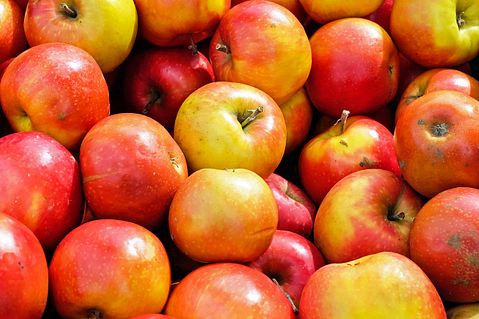 Countries That Export The Most Apples in the World