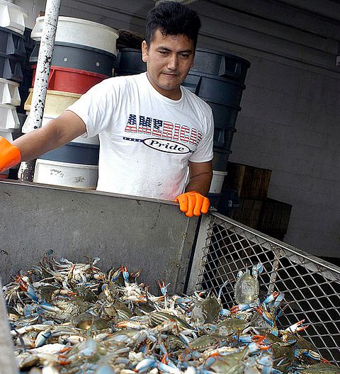 545px-FEMA_-_8861_-_Photograph_by_Cynthia_Hunter_taken_on_10-10-2003_in_North_Carolina